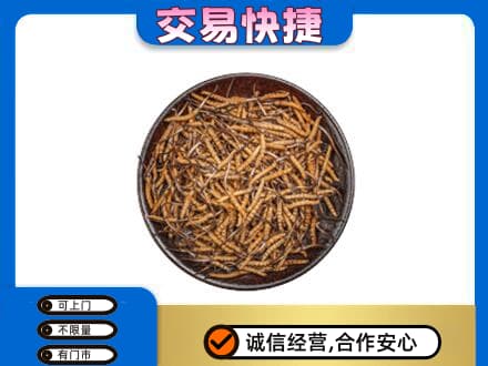 台州高价回收散虫草